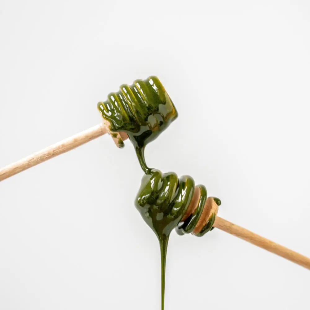 Miód wielokwiatowy z matchą organiczny miód Moya Matcha 200g - zdjęcie 9